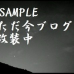 東電の角煮を解凍チン!!