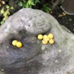 鹿児島市 産婦人科　Angel Blog