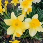 不登校365日24時間　フリースクール元気学園 ブログ