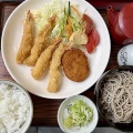 函館市本通1丁目 そば処 東京庵 本通店 その8  いか天おろし(冷)850円 日替わりそば定食(月曜日・冷)800円