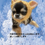 今日の石川ジム立川  042-523-9595