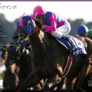 トルマリンS、富士S