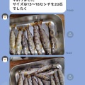 本日の釣果