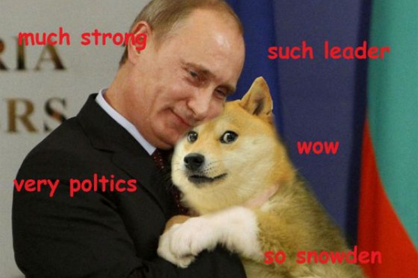 海外の日本犬オーナー 周りの人達はあなたの飼っている日本犬を見てどんな反応をしてる 海外の反応 すらるど 海外の反応