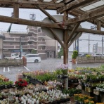 モナガーデン_中西園芸のblog