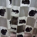 【画像】本物はどれだ？【再】