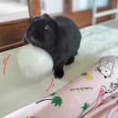 やむを得ない。