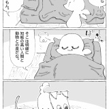 うちの犬のルカ。【８４】