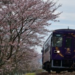 すずパパの気ままブログ
