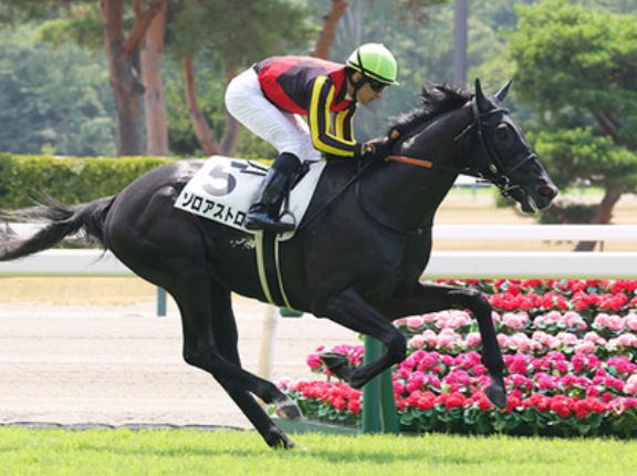 【競馬予想】[2]第66回きさらぎ賞(GⅢ) /2026