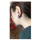 ピアスを全てアナトメタル化させたお客様