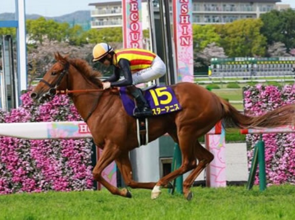 ドレフォン産駒＞＞＞ディープ孫