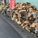 漆の未来と若い力 — 大井屋めんぱの想い