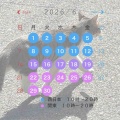 ５.６月講習日程のお知らせ🎏