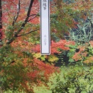 『東隅随筆』620号