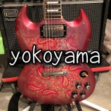 『Pedal Geeks Meeting 東京2026 #PGM東京2026　出展者様ご紹介⑭   yokoyama』の画像