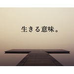 生きる意味がわからないんだがどうしたらいい？