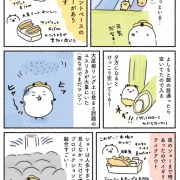 【エッセイ】子連れ万博