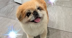 吹っ飛ぶ