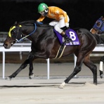 クロミちゃんの競馬日記