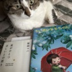 美しい歩き方と体質改善