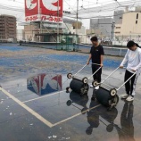 『一生懸命です』の画像