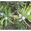 ボレーは握り込んで打て