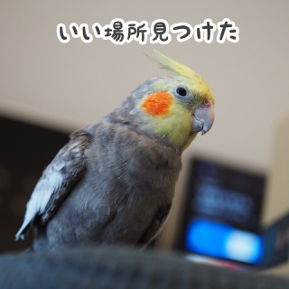 NEW!ユニブログ
