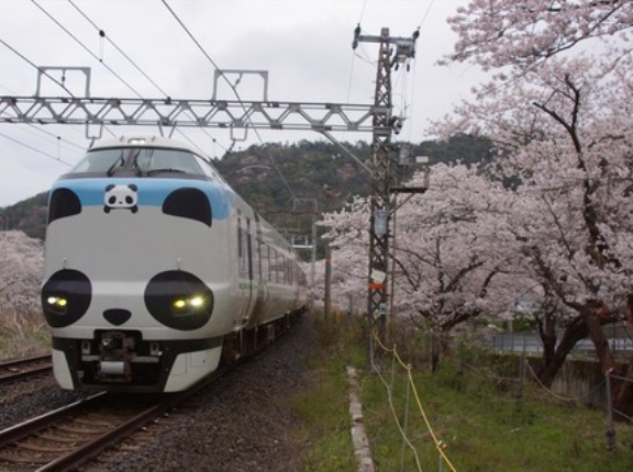 【JR西日本】パンダくろしお「サステナブルSmileトレイン」は2026年5月末頃に運行終了