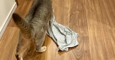 デジャヴ⁇ 着替えは慎重に…