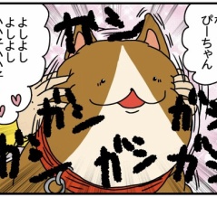 整体師こころんのハートフルライフ#110 ペットを撫でる力