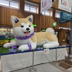 旅リズム