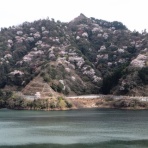 やまやま再発見