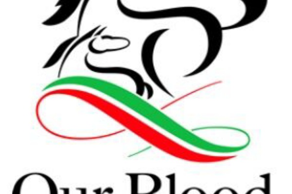 Numberのブログ 一口馬主日記 キャロット 募集馬検討