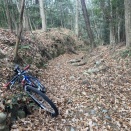 土日連続で七トレ詣で