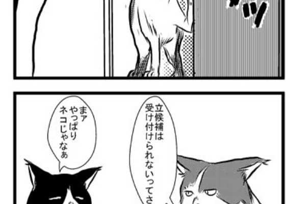 ネコぐらし 選挙