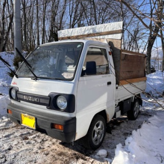 馬とニャンコと男と女