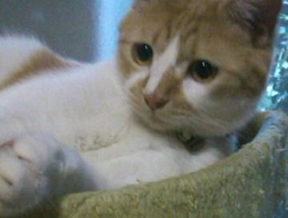 ２歳ちょいの子にまだ授乳してるんだけど、そのことを薬剤師に伝えたら「え、まだ授乳中？え？」と何度も聞かれた。薬剤師がそんな反応するのかとモヤモヤする。