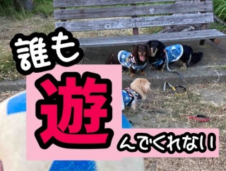気合いを入れて行ったのに。
