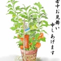 正気に戻った義姉との関係。