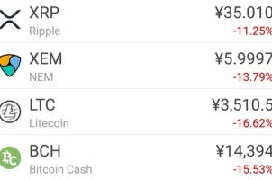 サムネイル画像