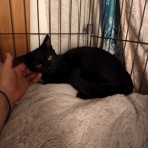 40代どう暮らしたら楽しい？blog