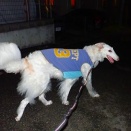 何度でも何度でも