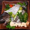 チャイロマルハタの刺身