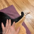 右へ左へ