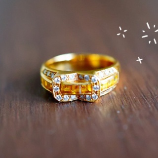 たかシェフのおうちごはん。と、白い犬。と、チワワ。