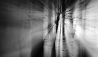 死ぬ程洒落にならない怖い話を集めてみない?『白い何か』『祖母の遺影』『家が燃える夢』他