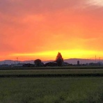 佐賀納江道場のひとり言