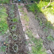 何度も間違いを繰り返す