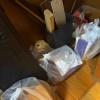 だる重い体引きずりの作業は続く…